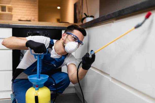 Best Pest Prevention Services  in Nevada, MO