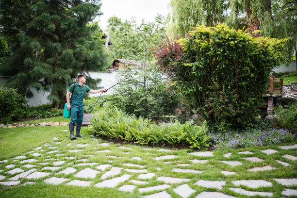 Wasp Removal Services in Nevada, MO