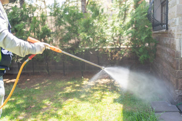 Best Affordable Pest Control Services  in Nevada, MO