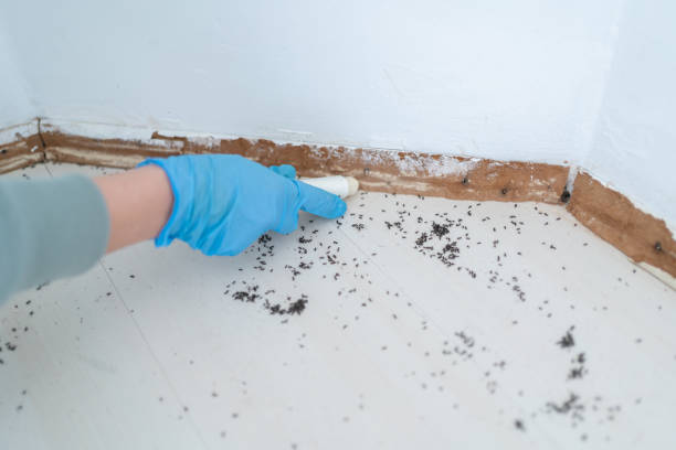 Best Exterminator Services  in Nevada, MO
