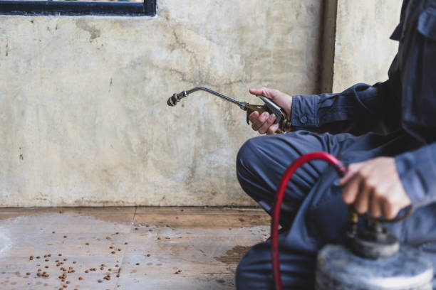 Best Pest Inspection Near Me  in Nevada, MO