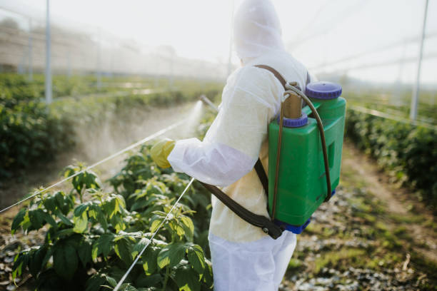 Best Pest Prevention Services  in Nevada, MO